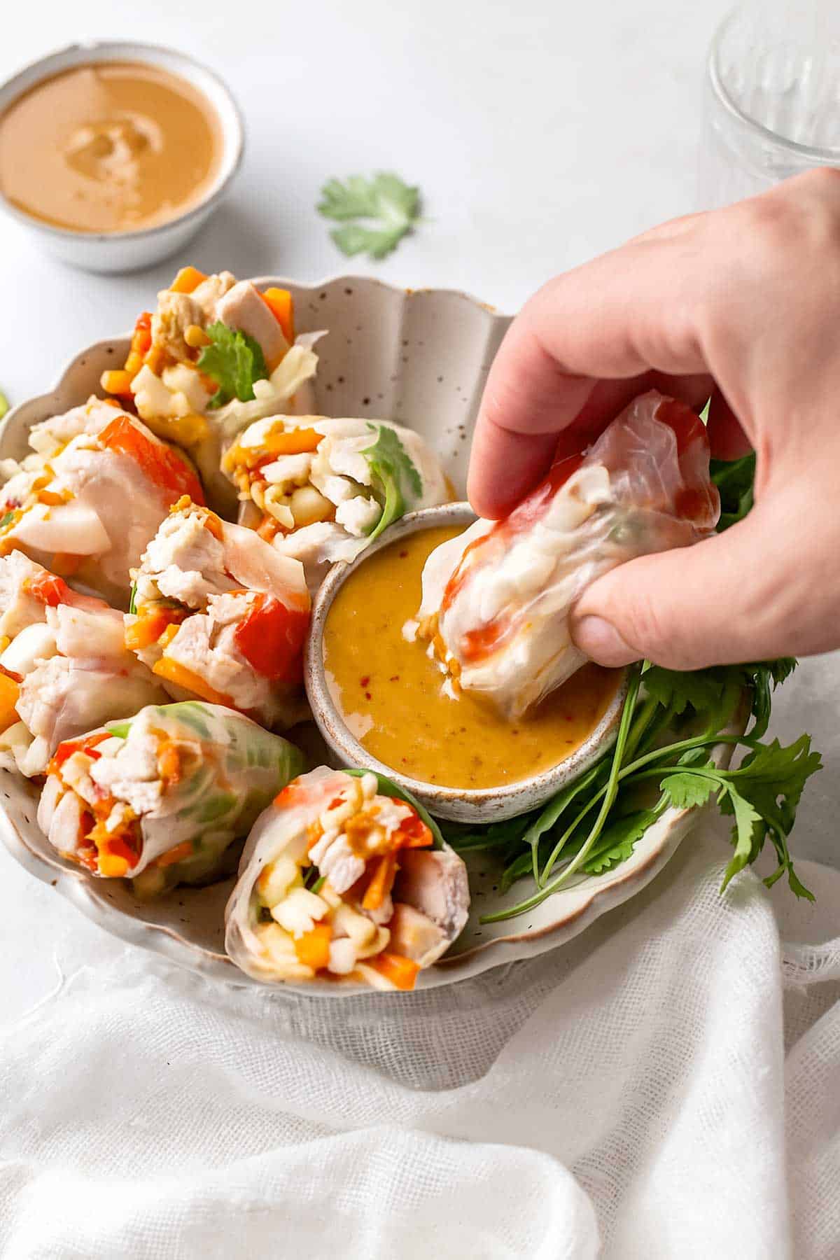 Chicken Spring Rolls Dipped in Peanut Sauce