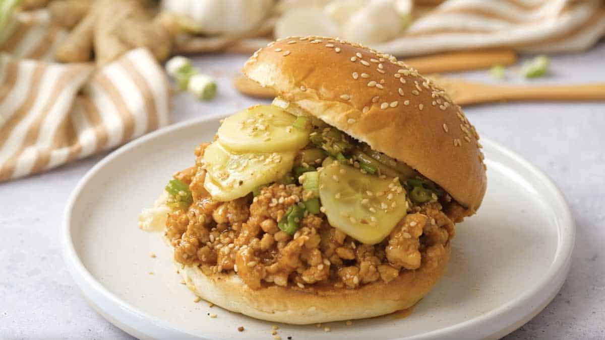 Asian Barbecue Pork Sloppy Joe