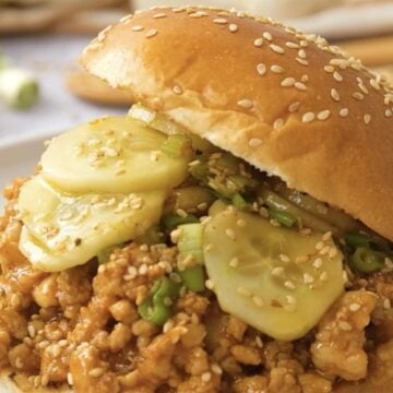 Asian Pork Sloppy Joe