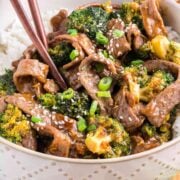 Beef and Broccoli with Sauce and Rice