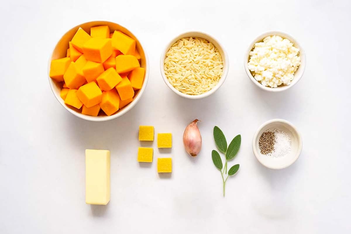 Butternut Squash Orzo Ingredients