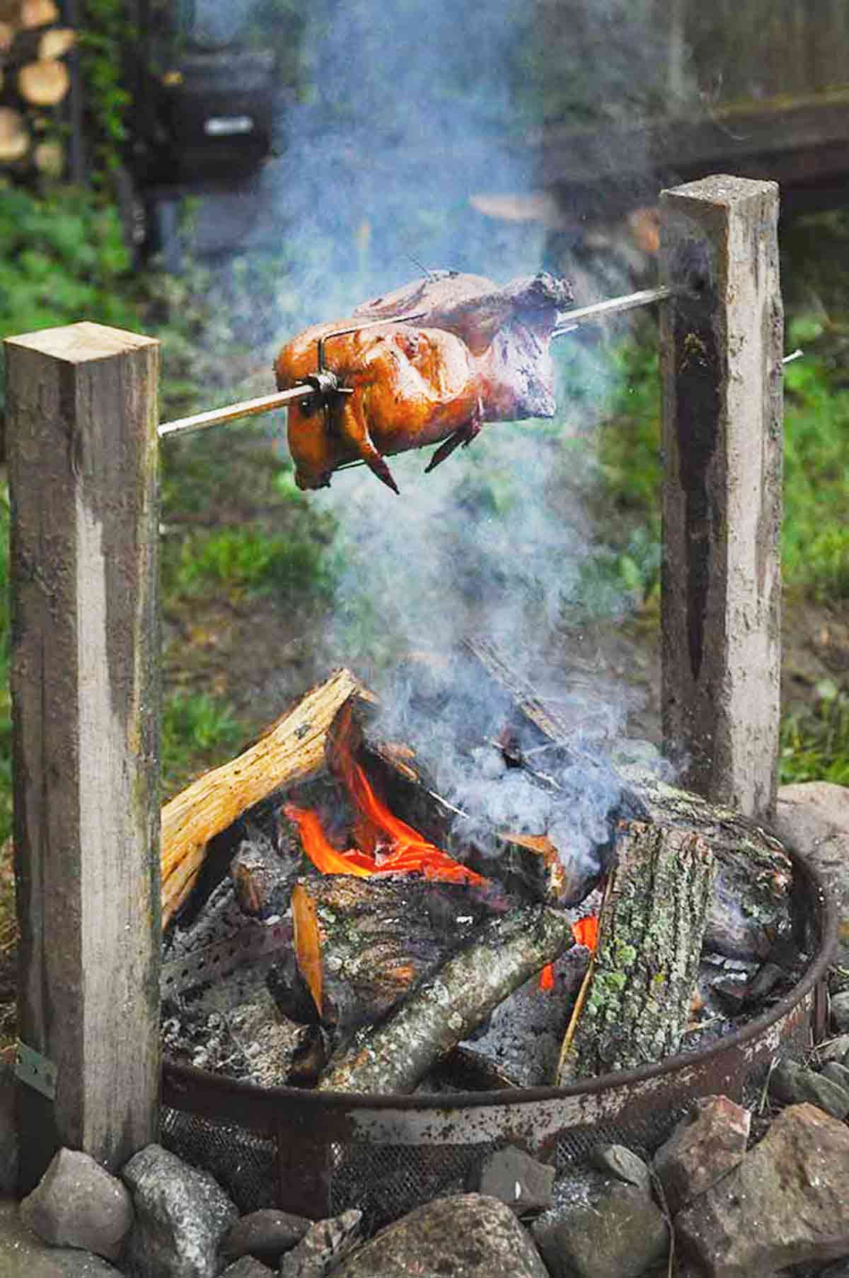 Campfire Chicken