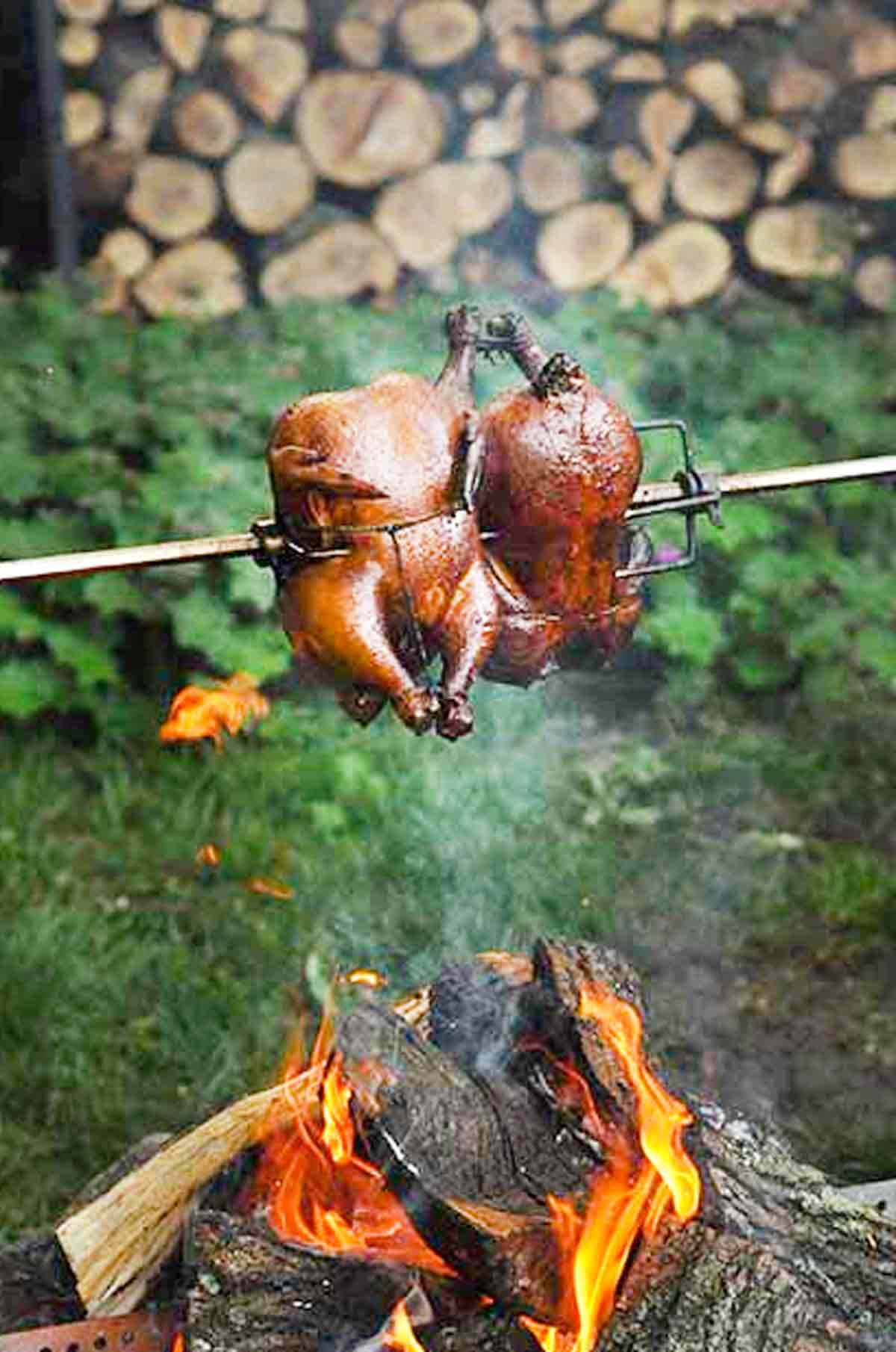 Campfire Smoked Chicken