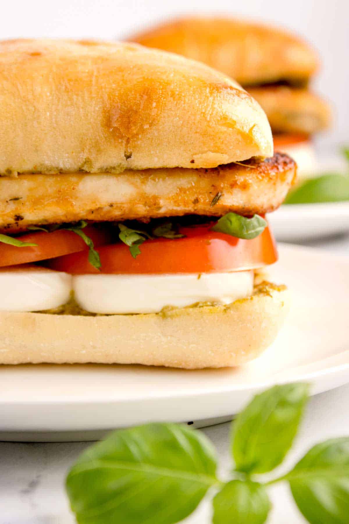 Chicken Caprese Sandwich on Ciabatta Bread