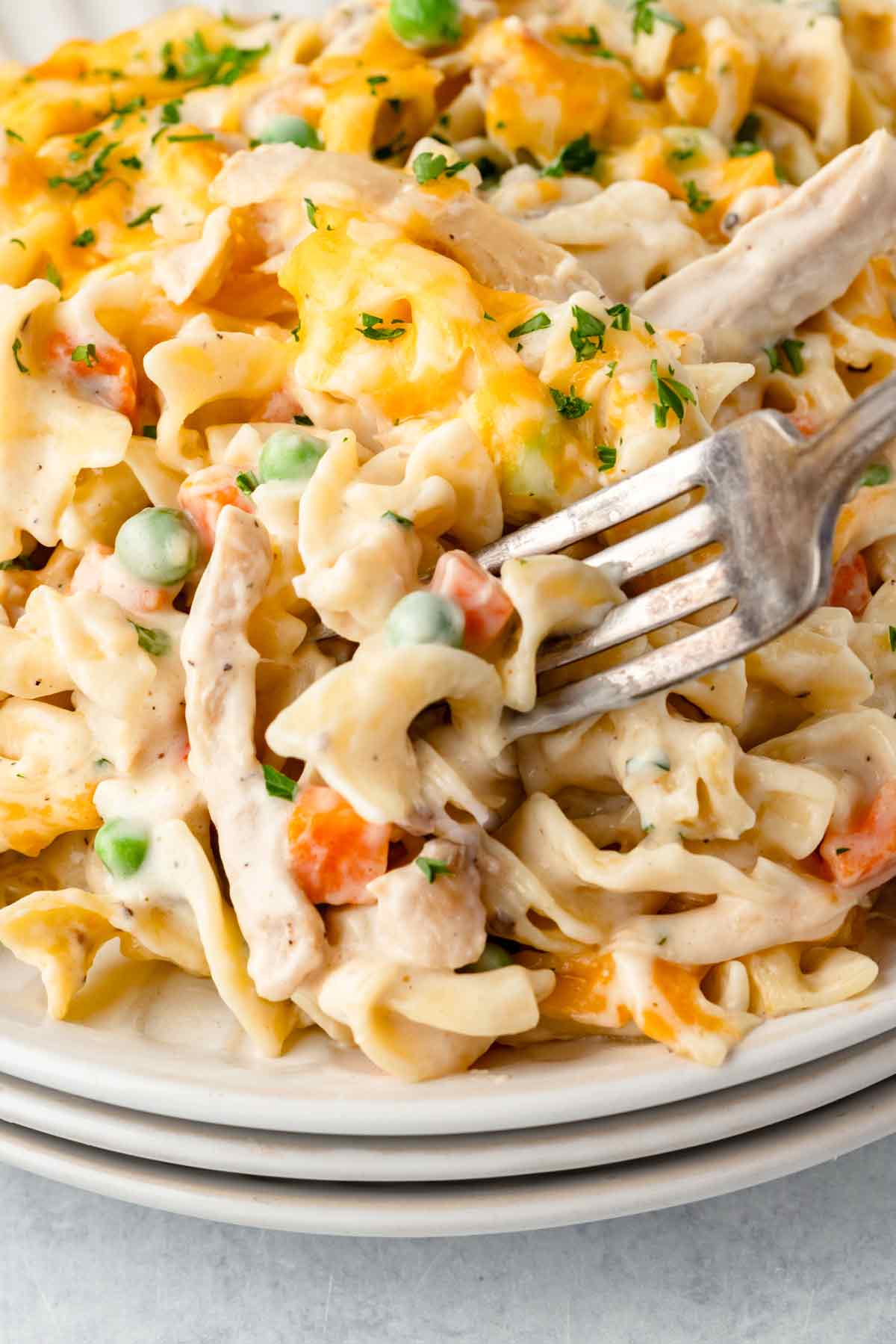 Creamy Chicken Noodle Casserole