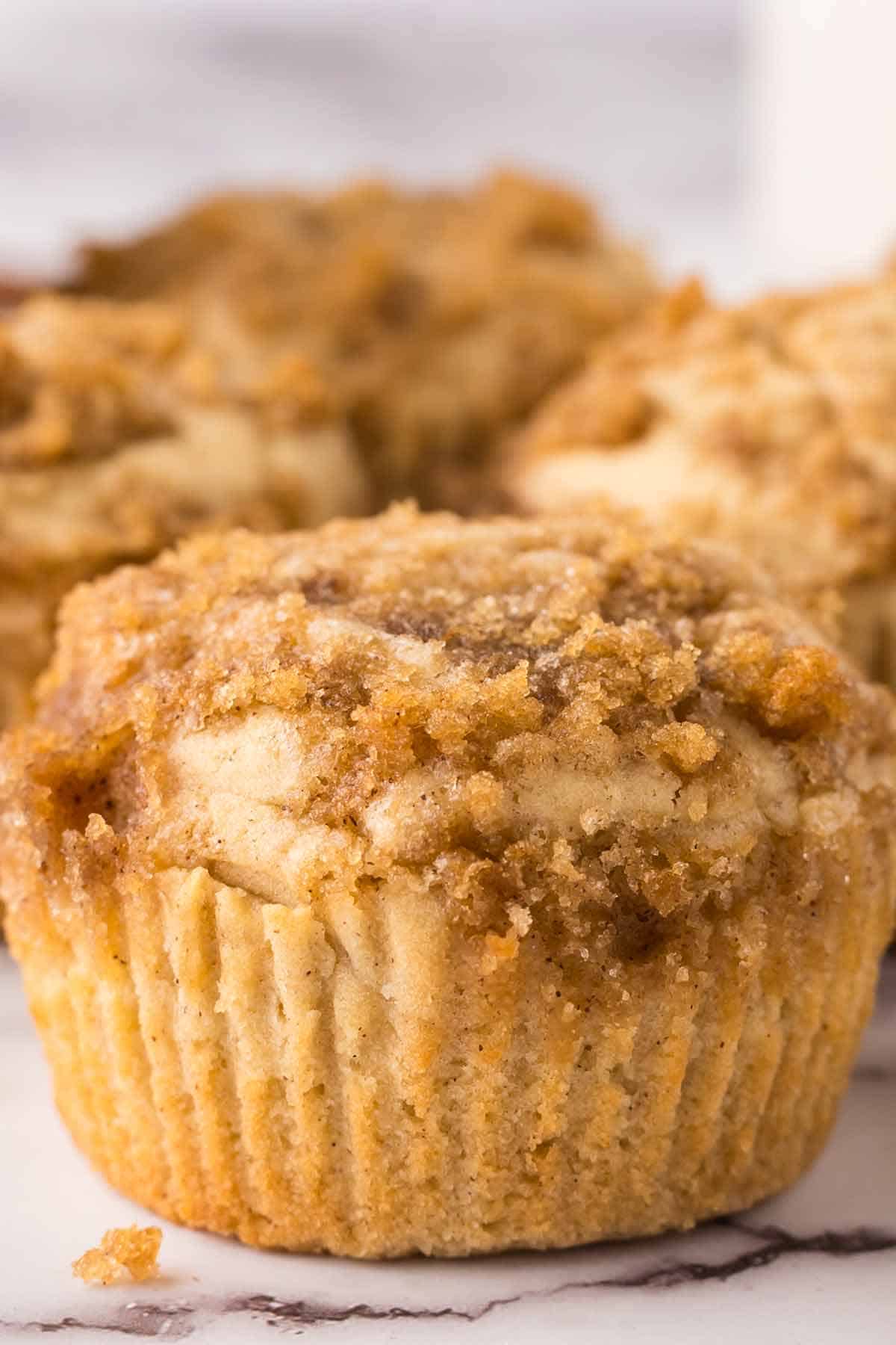 Cinnamon Muffins with Brown Sugar Streusel