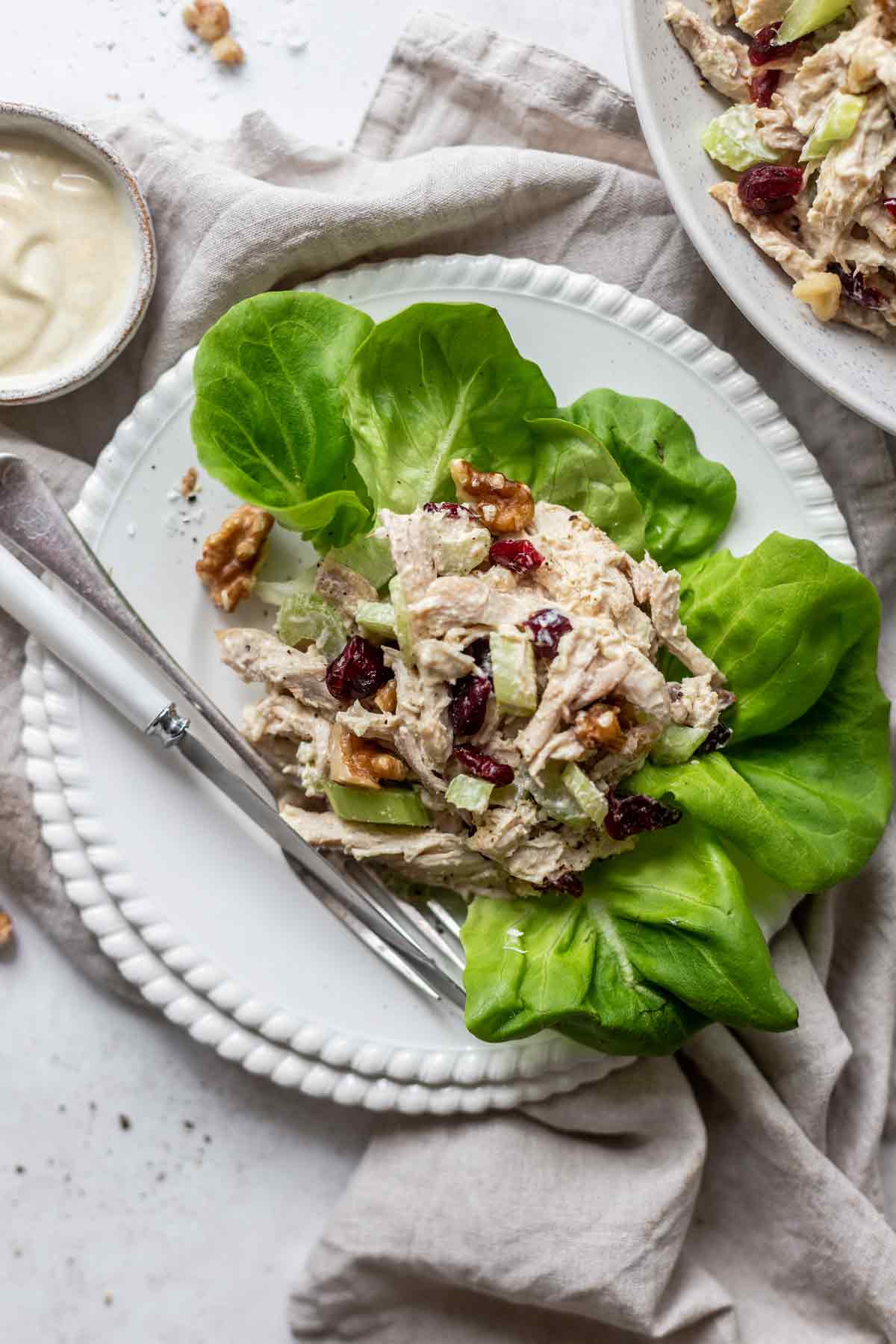 Cranberry Walnut Waldorf Chicken Salad