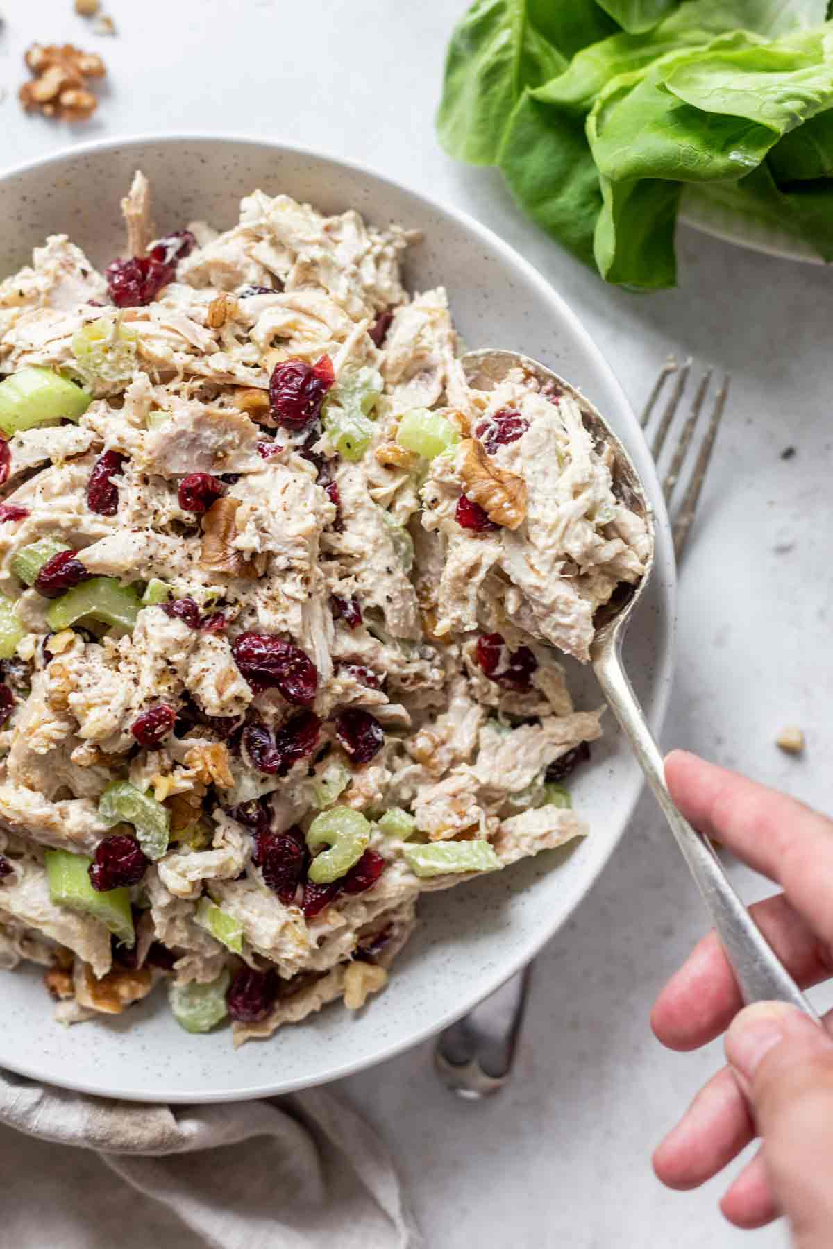 Waldorf Chicken Salad with cranberries and walnuts