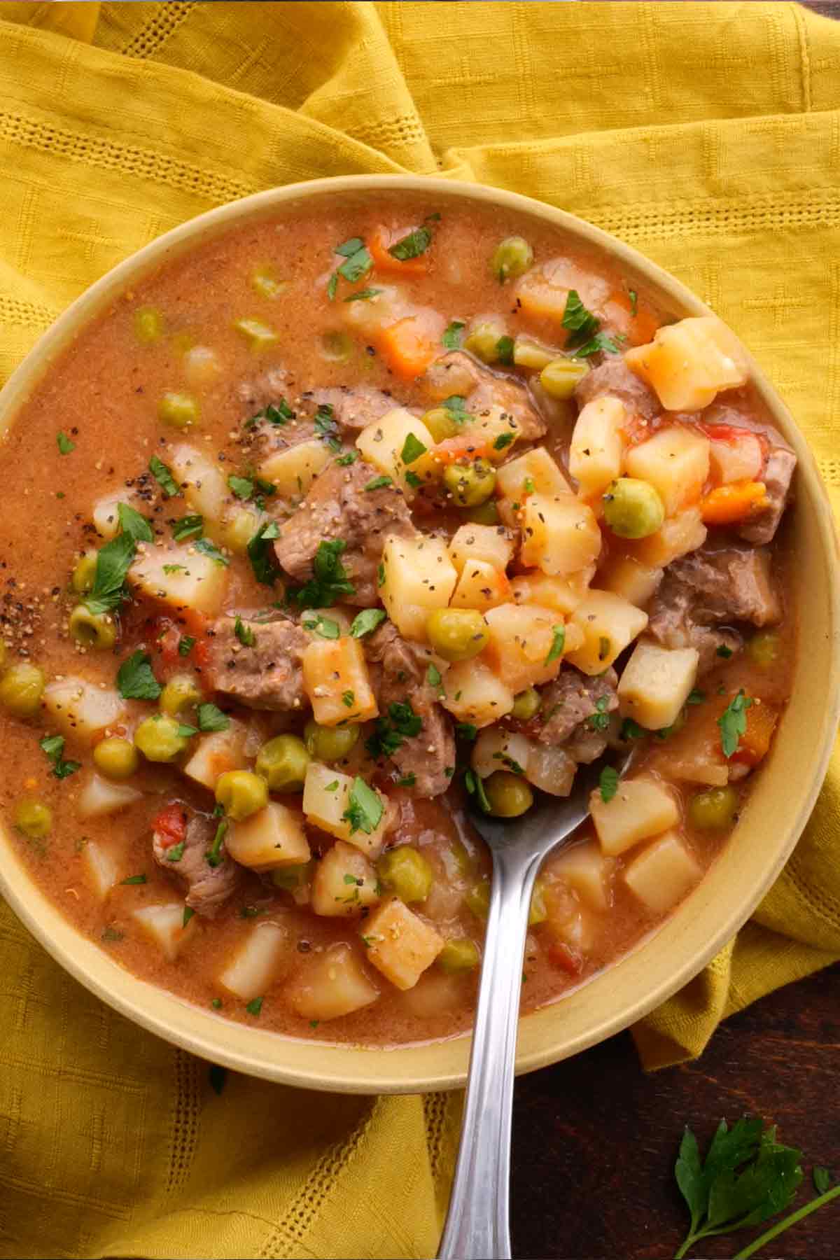 Crockpot Vegetable Beef Stew in Bowl