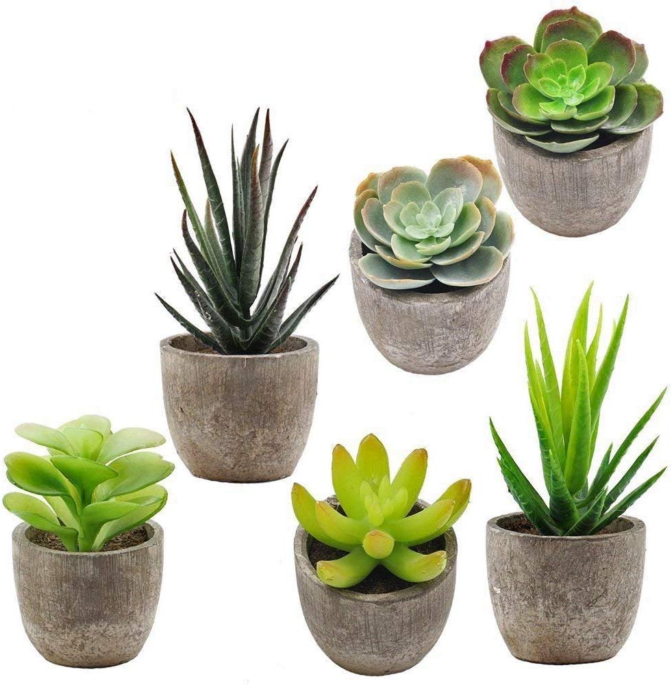 Faux Decorative Plants