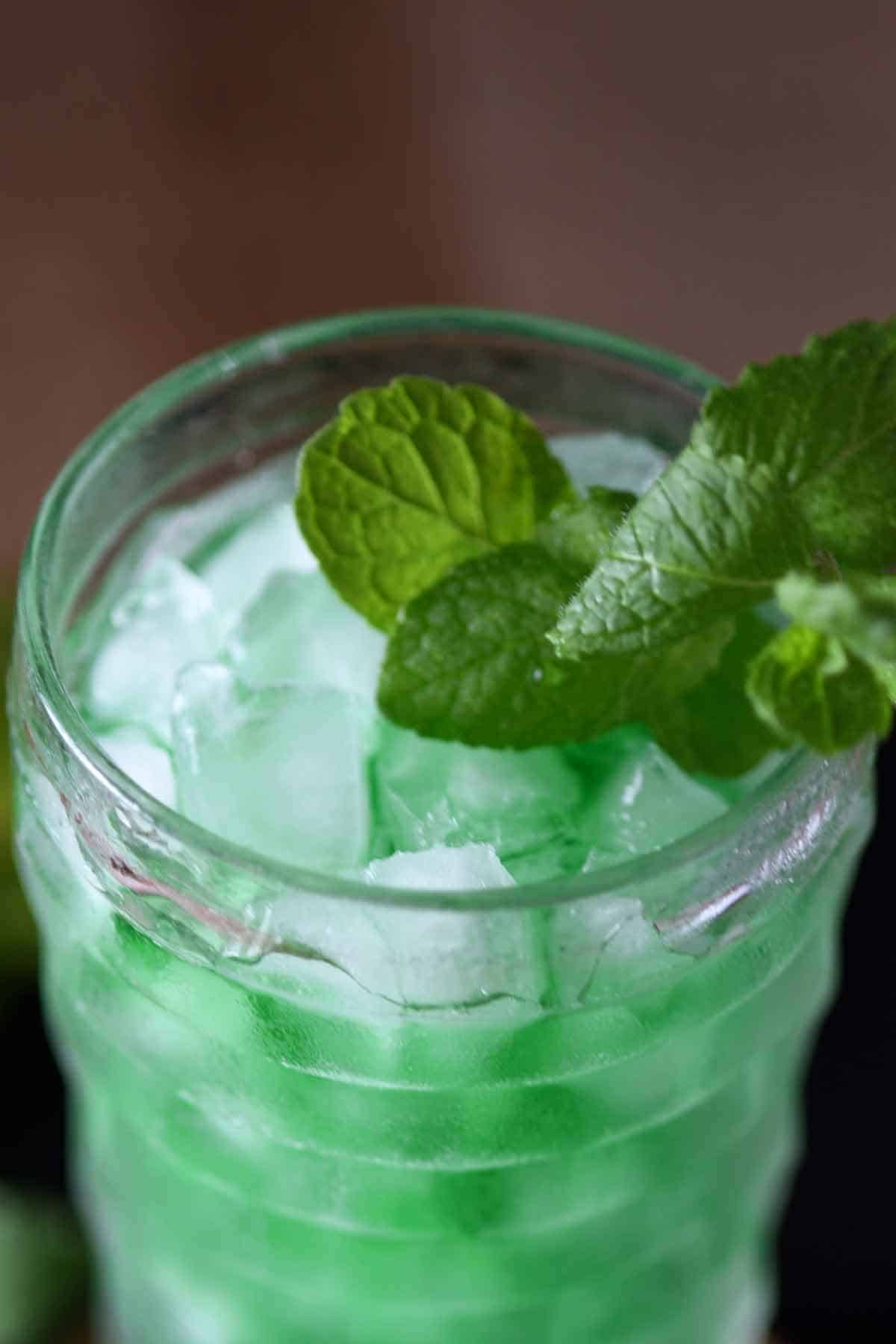 Refreshing mint mojito cocktail with ice and fresh mint leaves in a clear glass.