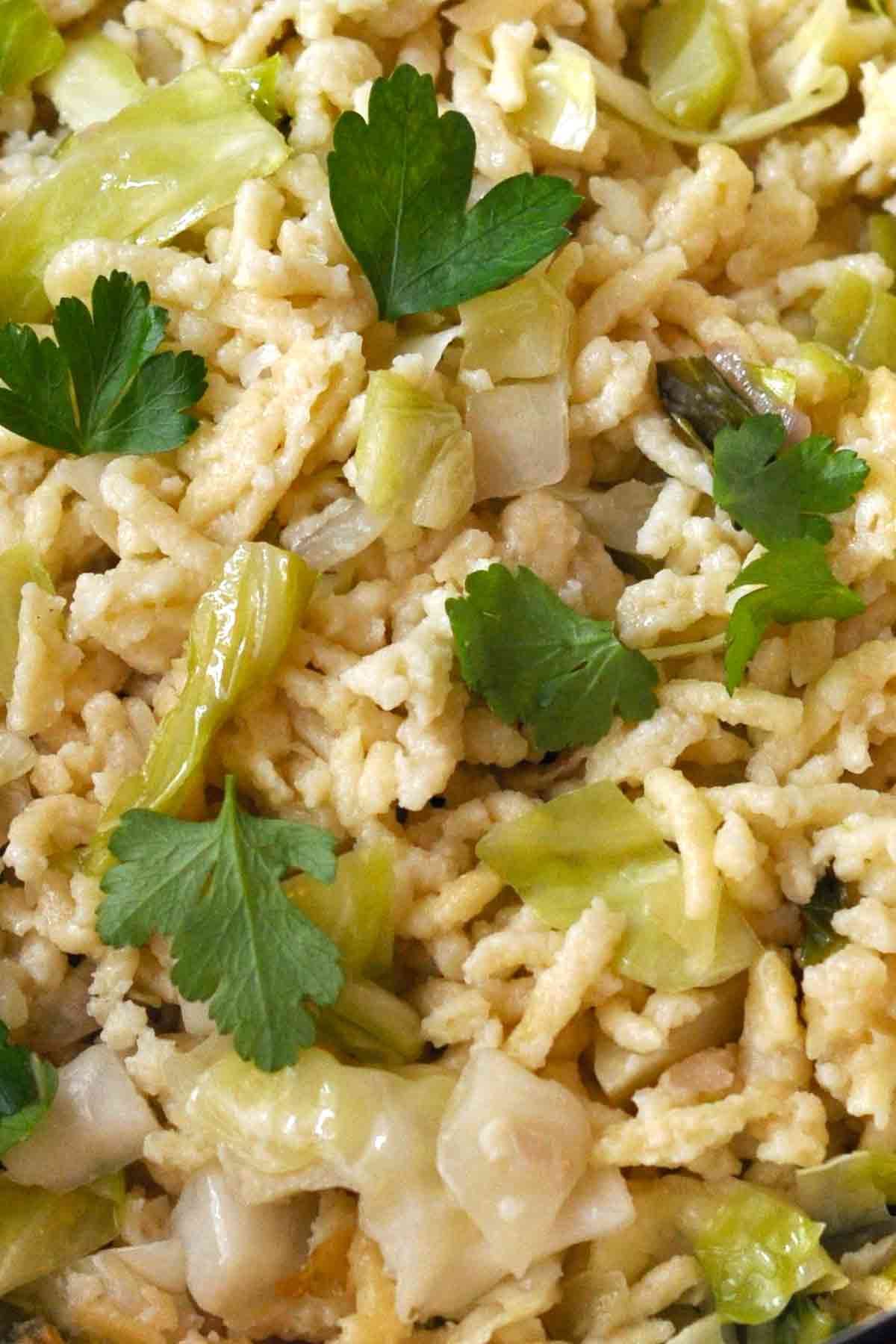 Haluski with Homemade Noodles Spaetzle