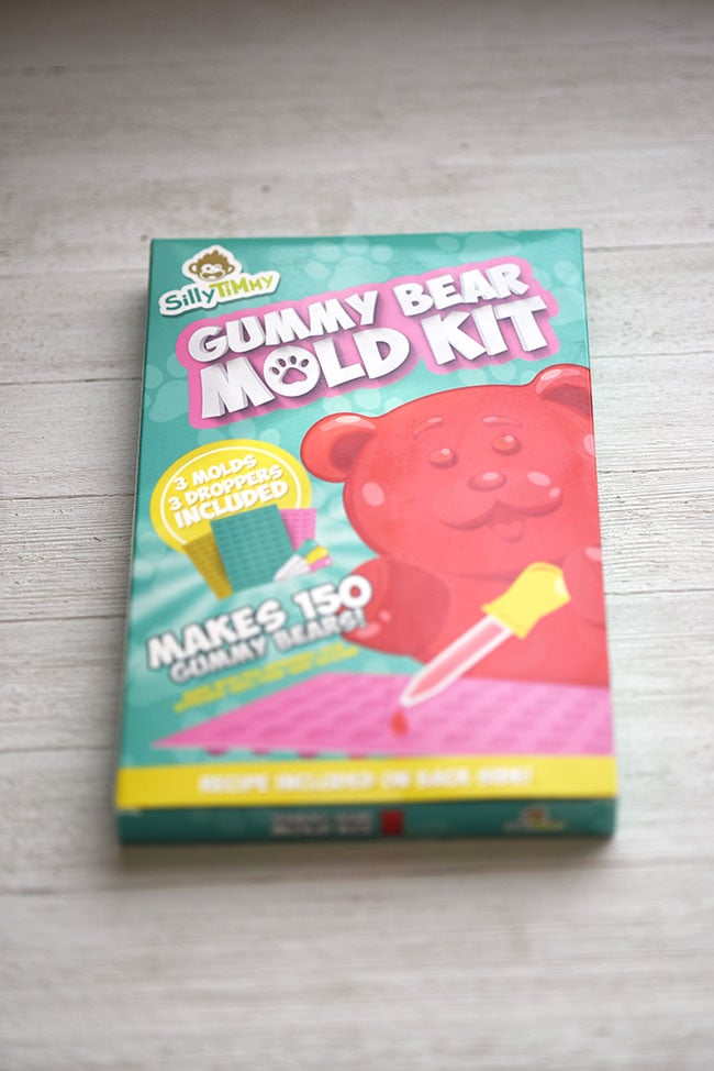 Homemade Fruit Snack Gummy Bear Mold