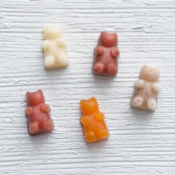 Homemade Fruit Snack Gummy Bears