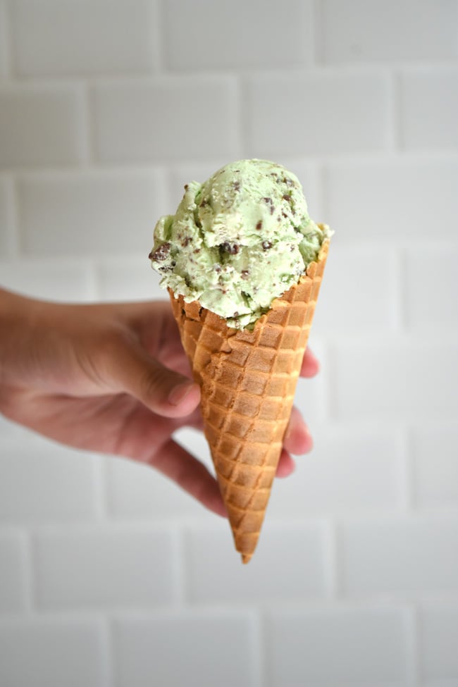 Homemade Mint Chocolate Chip Ice Cream