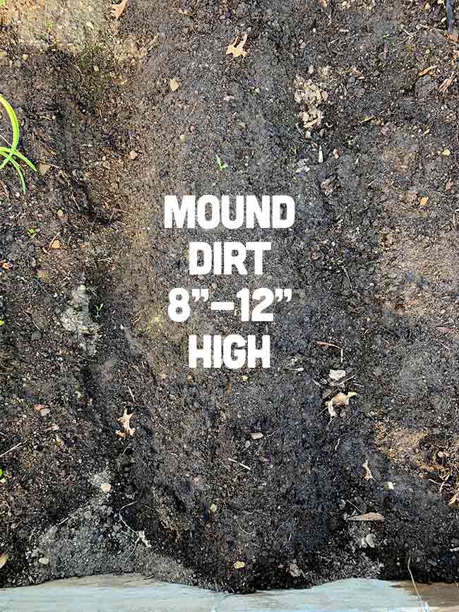 Mound Dirt 8" - 12" High