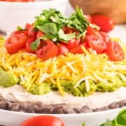 Mexican 5-Layer Dip with Guacamole