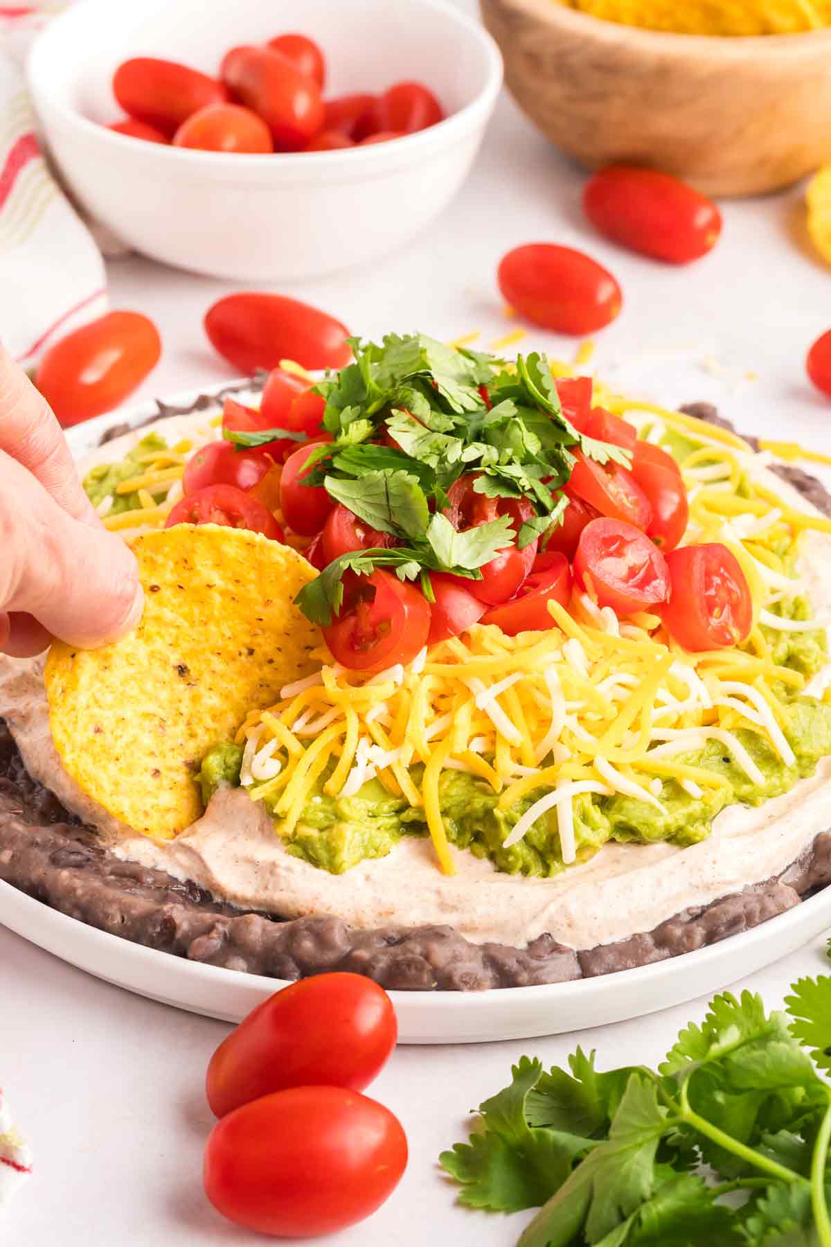 Super Easy Mexican 5-Layer Dip