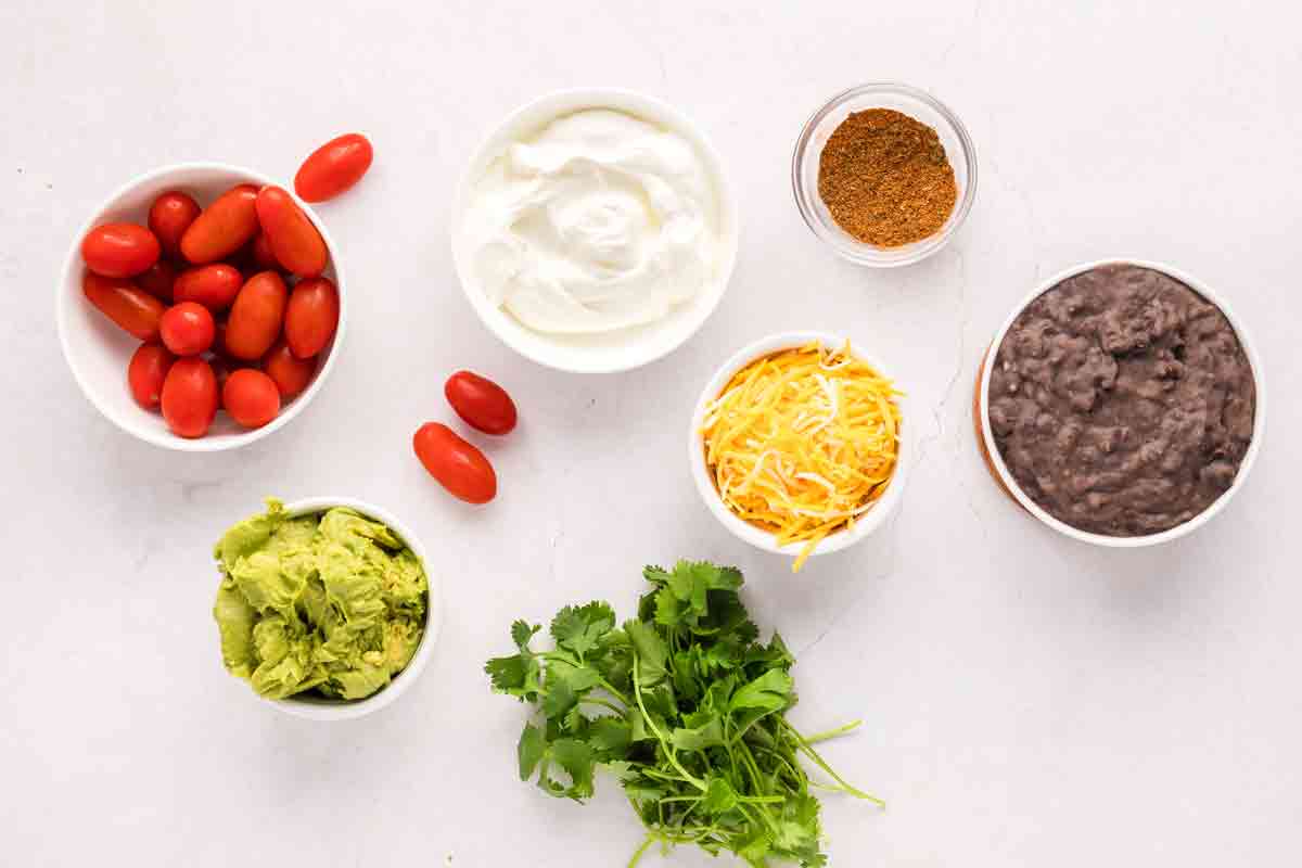 Mexican 5-Layer Dip Ingredients