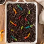 Oreo Dirt and Dummy Worms Cake