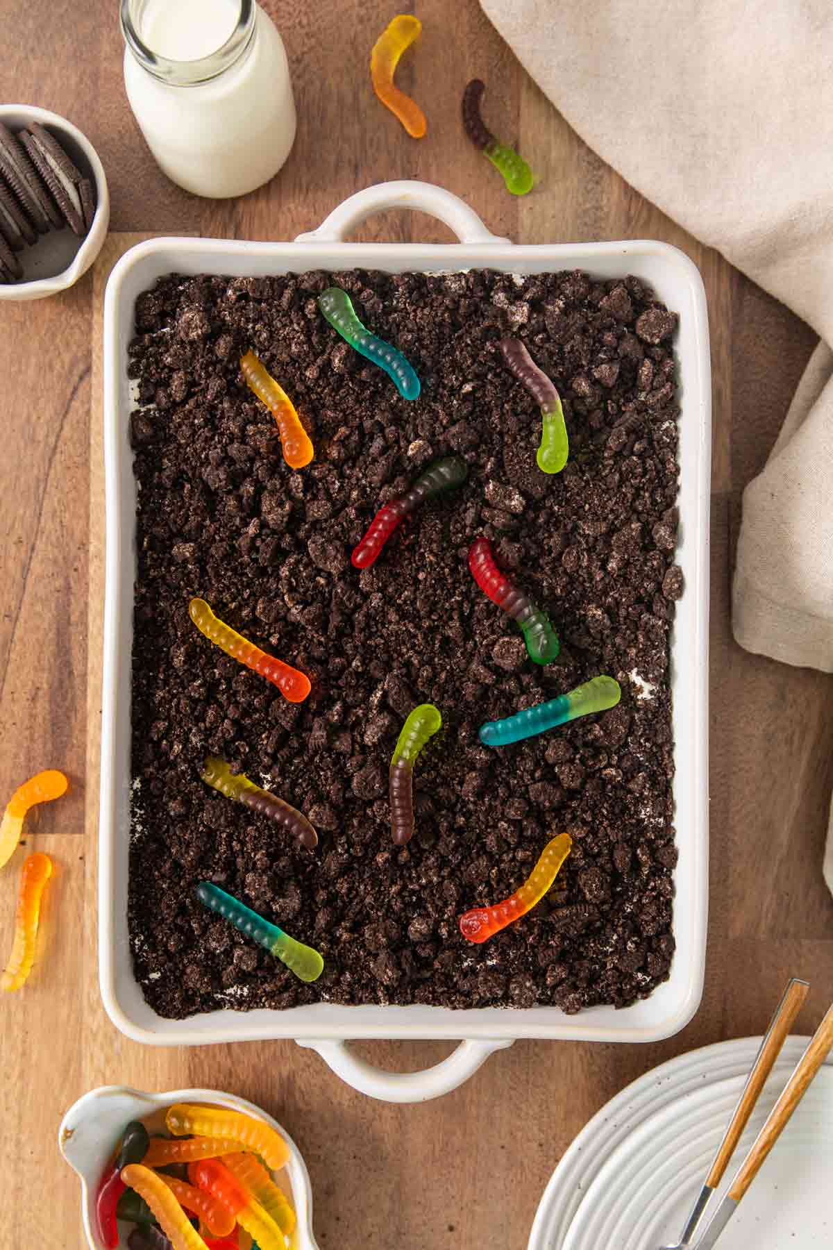 Oreo Dirt and Dummy Worms Cake