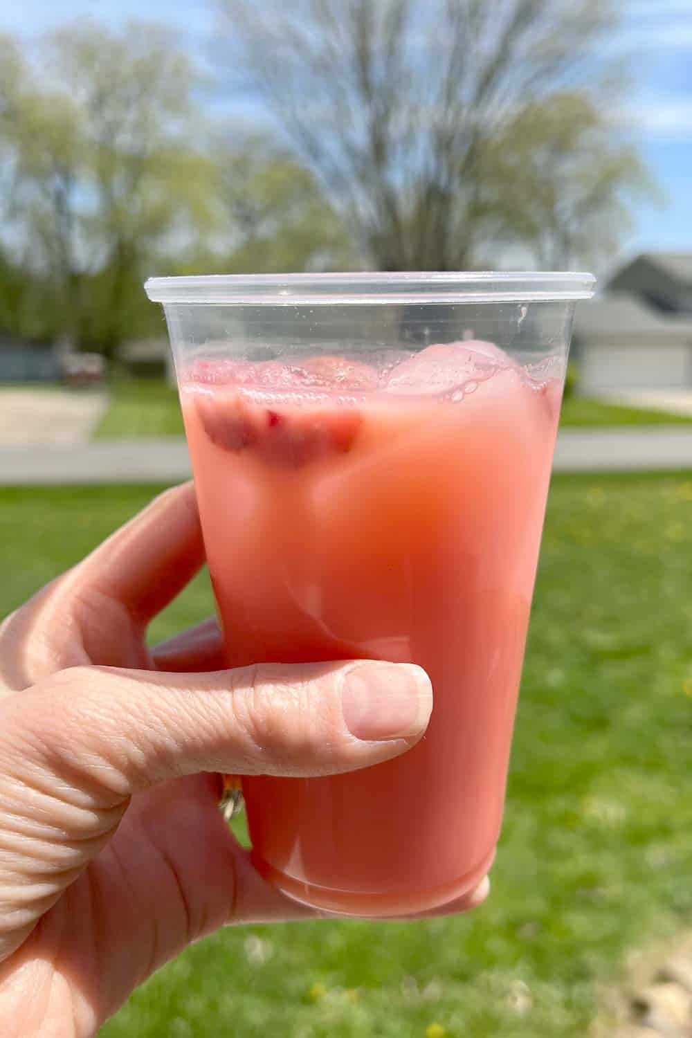 Summer Pink Drink DIY Recipe