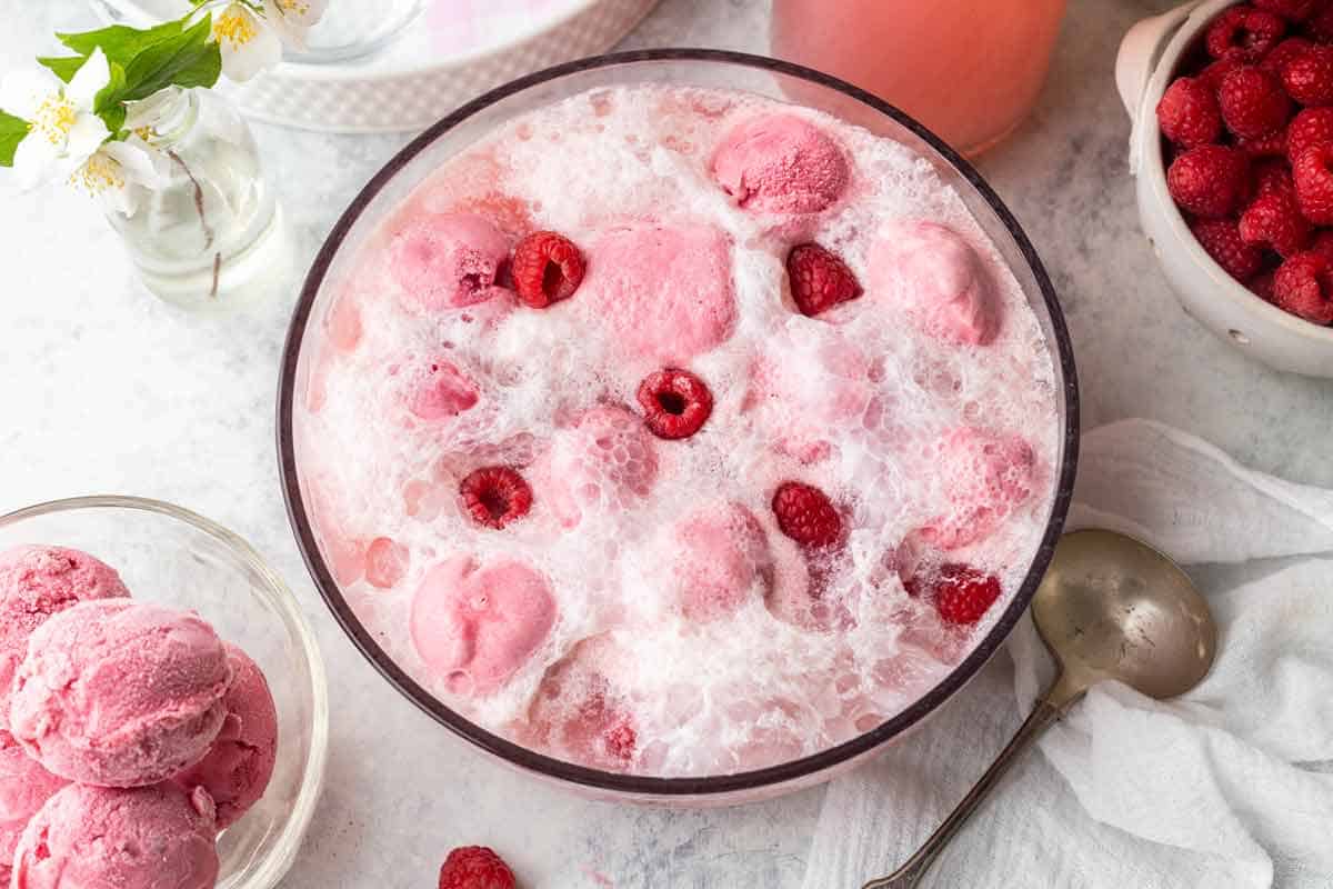 Raspberry Sherbet Pink Party Punch