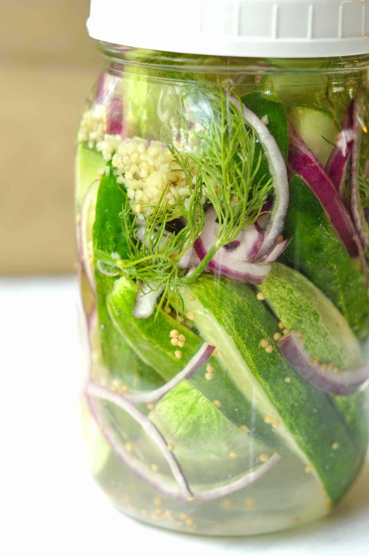 Refrigerator Quick Dill Pickles