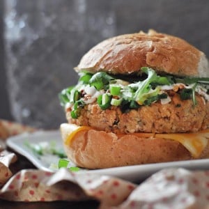 Spicy Salmon Patties with Aioli Sauce