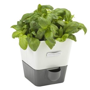 Self-watering Herb Pot