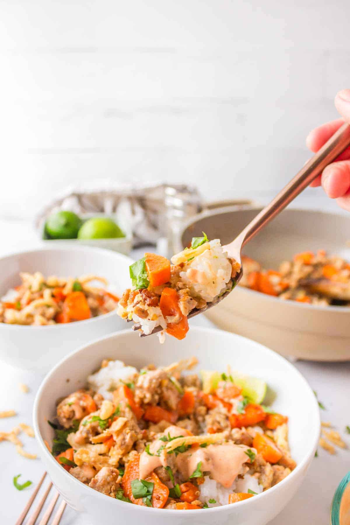 Sesame-Ginger Pork and Carrots Bowl with Rice