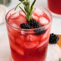 Blackberry Whiskey Sour Cocktail