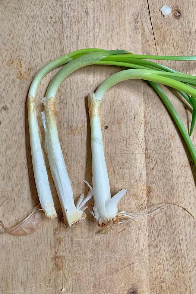 Onion Seedlings