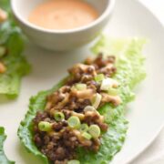Teriyaki Chicken Lettuce Wraps (5 Ingredients) Chicken Teriyaki Lettuce Wraps