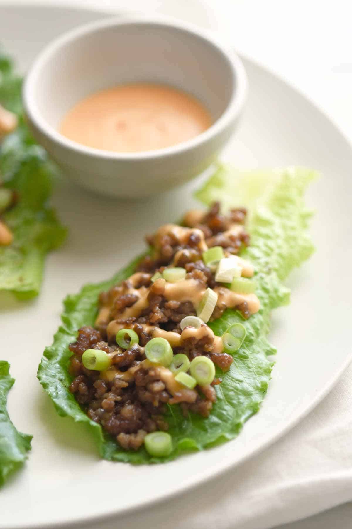 Chicken Teriyaki Lettuce Wraps