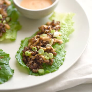 Teriyaki Chicken Lettuce Cups with Sauce